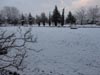 Previous picture :: Wallpaper - Quetta Snowfall January 2012 (5) - 4608 x 3456